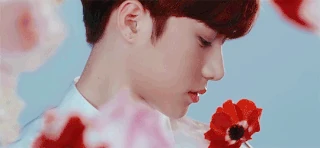 Lysander — Gif 2