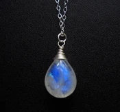 Clove's birthday present.jpg (333 KB)