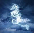 Patronus ; Seahorse