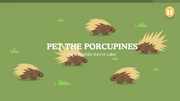 Porcupine Pet