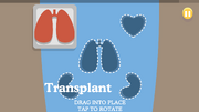 Organ-ize.png