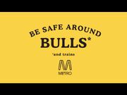 BeSafeAroundBulls