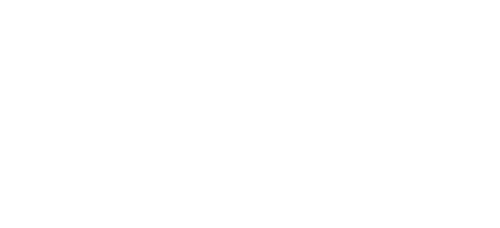 Dummies vs Noobs Wiki