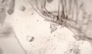 Screenshot 2019-03-10-02-51-48-1.png
