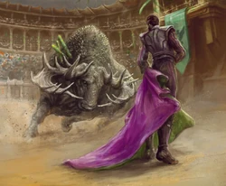 Bullfighter Portuguese