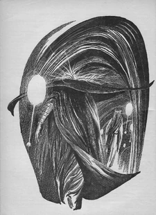 Jessica Atreides leads Gaius Helen Mohiam through the hallways of the Castle Caladan