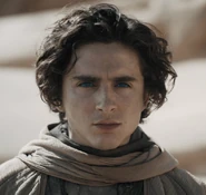 Timothée Chalamet (2024)