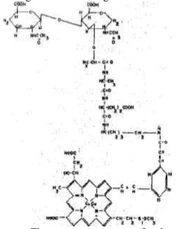Chemical formula from the Dune encyclopedia
