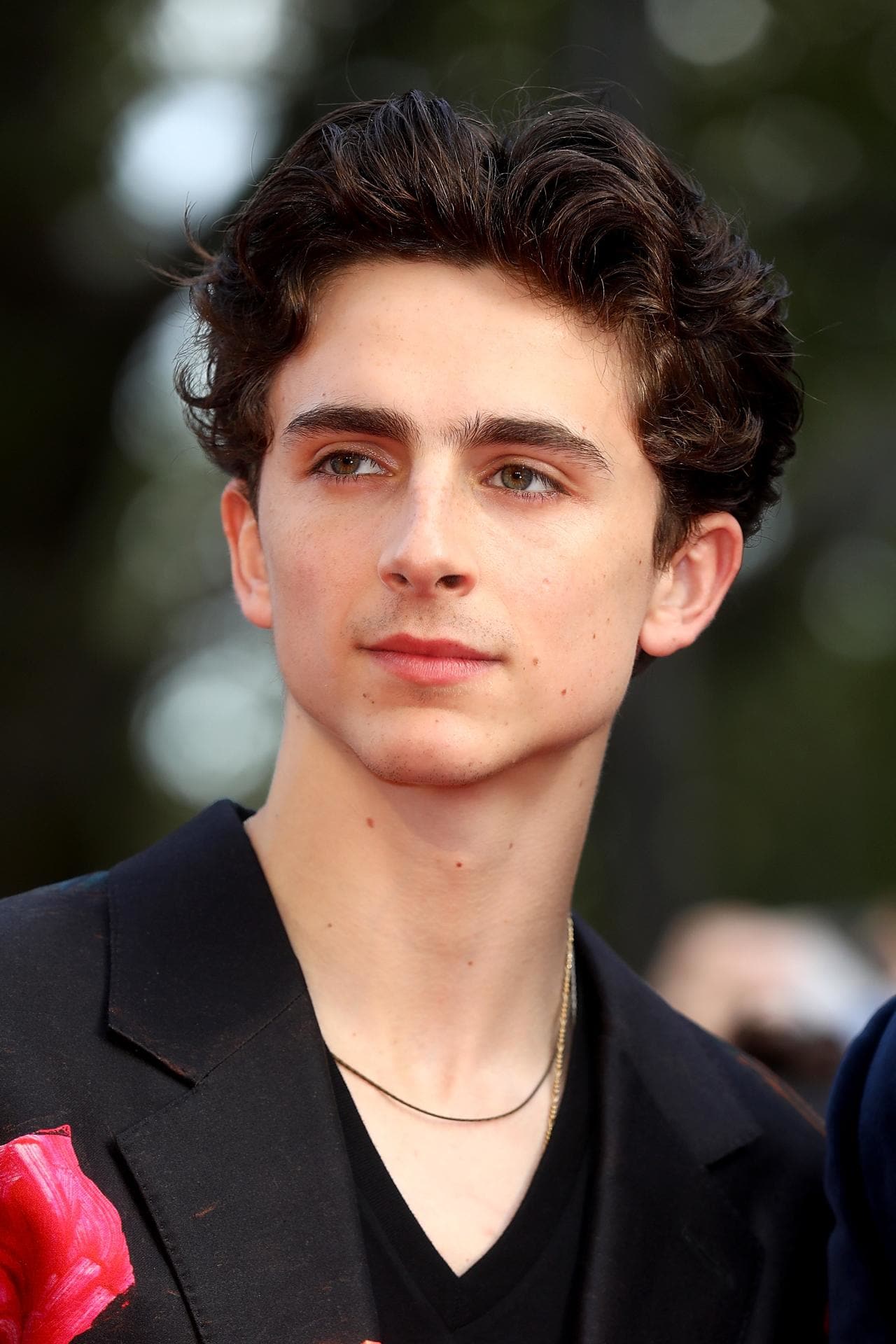 Timothée Chalamet's Hair at the 2020 Oscars