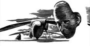 Ornithoptermask.jpg