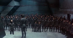 Фремены ситча Табр в дистикомбах