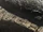 House Harkonnen gunship frigate over Arrakeen (aerial view) concept art for Dune (2021) by Deak Ferrand.jpg