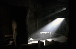 Sandtrout nursery 2003