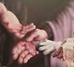 MaY4NfkEqIdN1Jqx3i8it5Q-1.jpg