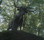 A Salusan Bull in the Dune: Prophecy episode Sisterhood Above All