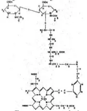 Chemical structure of Spice Melange