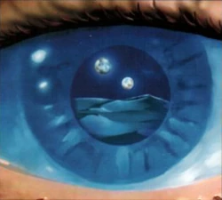 Dune CCG Thunder at Twilight Focus Awareness