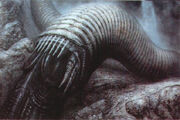 Hr-giger-dune-worm-xii