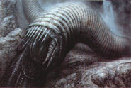 "Dune Worm XII", a sandworm concept by H. R. Giger.