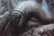 Sandworm - Jodorowsky's Dune concept art by H.R. Giger