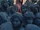 Paulcrowdfoliosociety.jpg