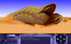 Dune game sandworm