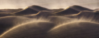 Dune: Sisterhood