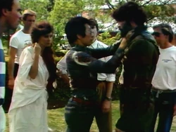 Yamazaki McGill Destination Dune