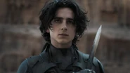 PaulAtreidesTimothee.jpg (24 KB) Paul Atreides with unsheathed crysknife (Dune, 2021)