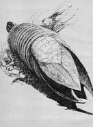 Letowormridinganalog.png (3.41 MB) Leto wormriding — Art by John Schoenherr