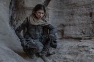 Zendaya as Chani in Dune, 2021