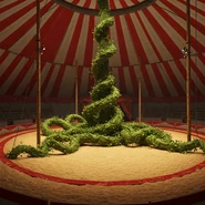 Grimaldi in vine form