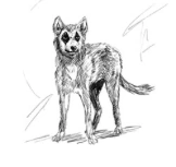Danger Dingo by Erik Wilson.png (16 KB) Official art by Erik Wilson, Book 1 Chapter 46