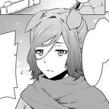 Naaza Erisuis Image Gallery Danmachi Wiki Fandom A fox person, haruhime, is trapped in the red light district of the labyrinth city of orario. image gallery danmachi wiki fandom