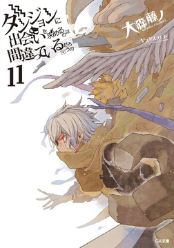 Light Novel