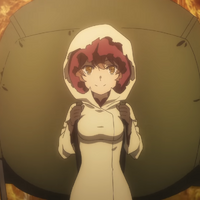 Liliruca Arde Danmachi Wiki Fandom Originally a member of the soma familia , she converted to the hestia familia after securing her freedom after the war game. liliruca arde danmachi wiki fandom