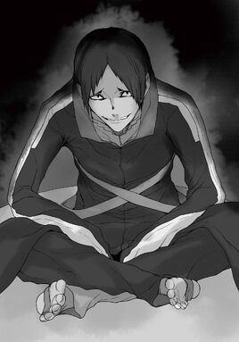 Light Novel