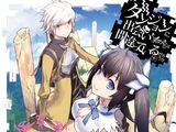 DanMachi Manga Volume 1