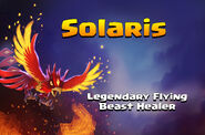 Introducing Solaris