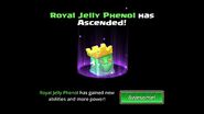 Royal Jelly Phenol ascends...