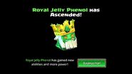 Royal Jelly Phenol's 2nd Ascension