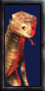 Salamander panel icon