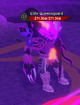 Elite Queensguard