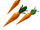 Carrot Barrage