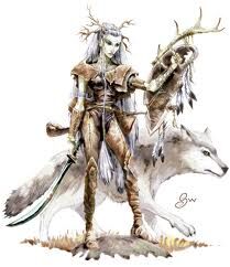 SRD:Druid | Dungeons and Dragons Wiki | Fandom