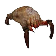 Headcrab