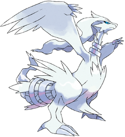 643Reshiram