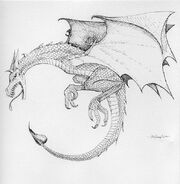 Wyvern1