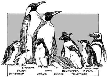 Penguins