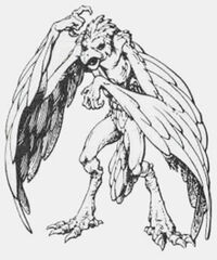 The Aarakocra Race for Dungeons & Dragons (D&D) Fifth Edition (5e) - D&D  Beyond